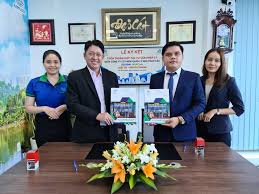 lĩnh vực hoạt động